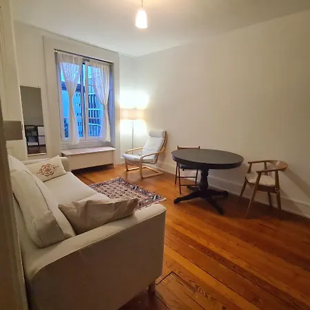 In Center - Plainpalais Appartement *
